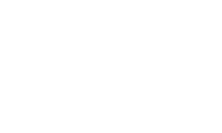 fdsm